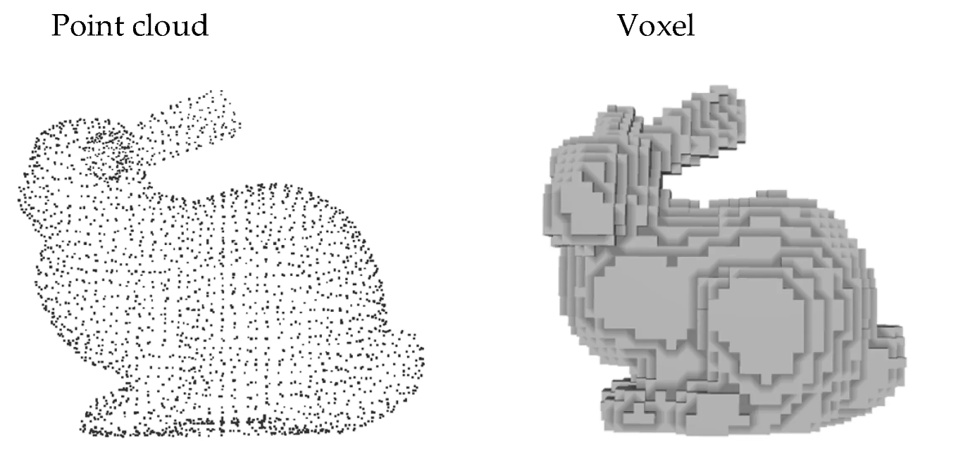 Point Cloud and Voxel Comparison